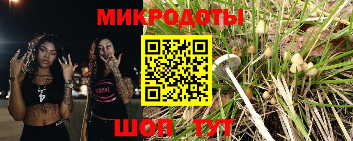 Псилоцибиновые грибы Magic Shrooms Боровичи