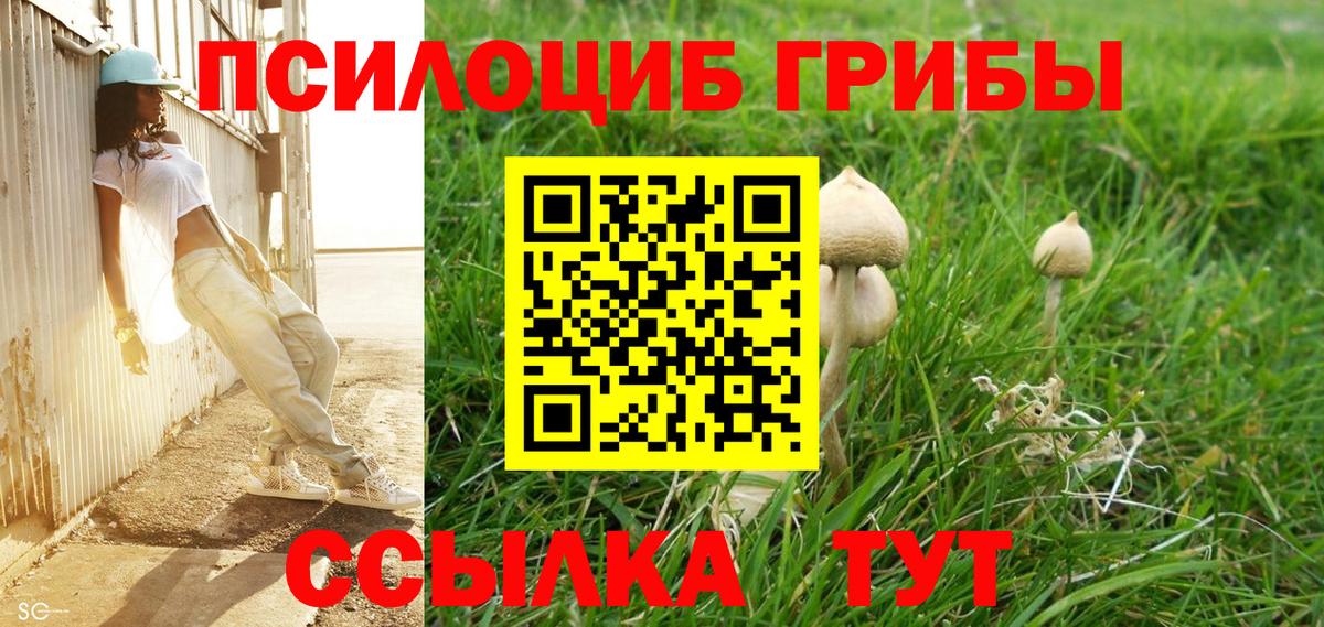 Галлюциногенные грибы Magic Shrooms  Вход с VPN  Боровичи  Псилоцибиновые грибы мицелий 